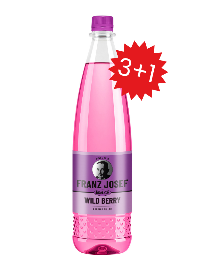 Franz Josef Rauch Wild Berry PET 6x1,0 MW (MEHRWEG)