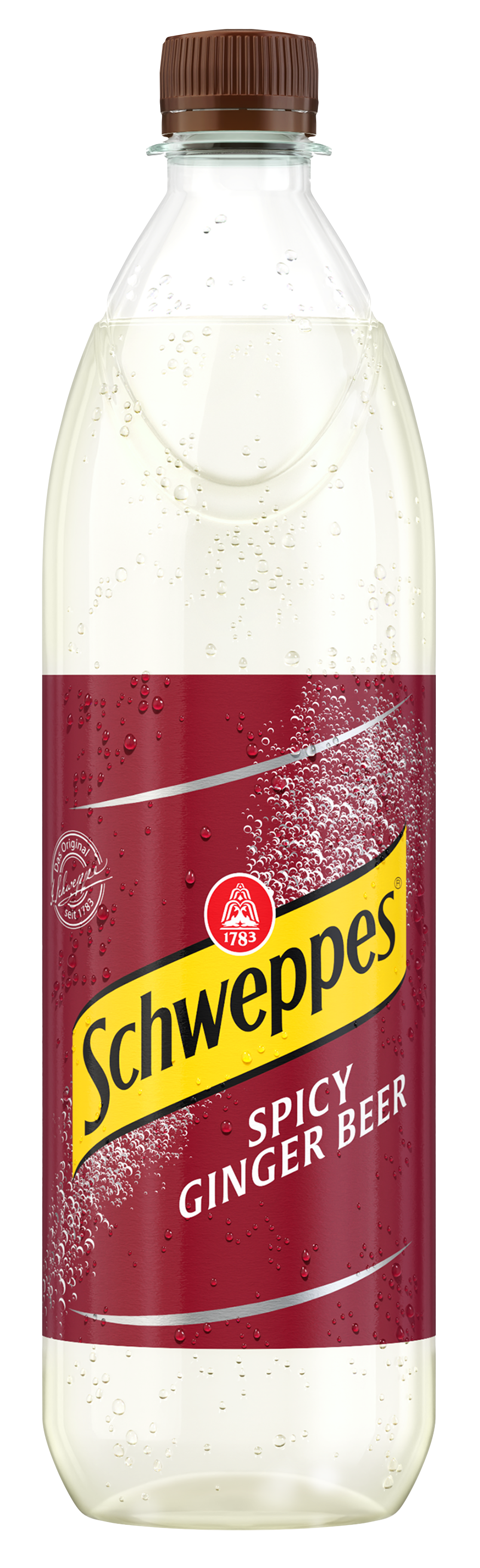 Schweppes Ginger Beer PET 6x1,0 MW (MEHRWEG)