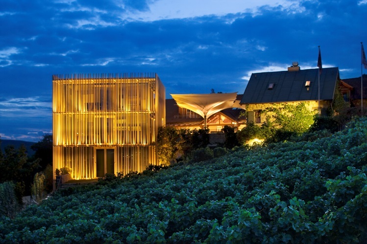 Würzburg Silvaner trocken Bio, Weingut am Stein 6x0,75EW (EINWEG)